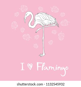 Pink flamingo vector illustration isolated on white background.