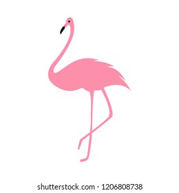Pink flamingo vector illustration isolated on white background