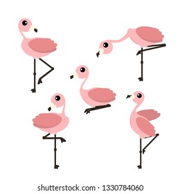 Pink flamingo vector illustration isolated on white background
