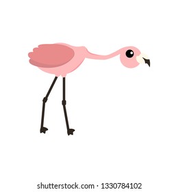 Pink flamingo vector illustration isolated on white background