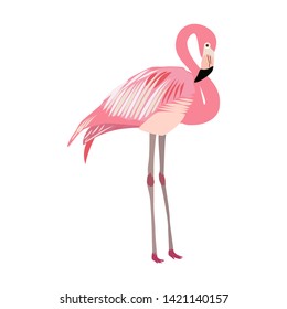 Pink flamingo vector illustration isolated on white background.
