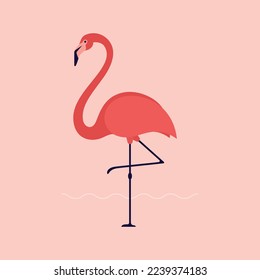 Pink flamingo vector illustration isolated on nice background.Bird Vector Design. Animal World Illustration Design