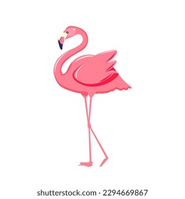 Pink flamingo vector illustration isolated on white background. EPS10