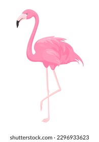 Pink flamingo. Vector illustration isolated on white background. Exotic tropical bird. For print design, wrapping, wallpaper, fabric, greeting card, baby shower