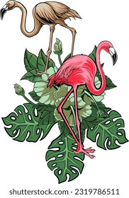Pink flamingo vector illustration isolated on white background.