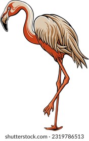Pink flamingo vector illustration isolated on white background.