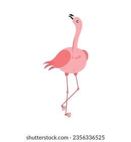 Pink flamingo vector illustration isolated on white background.