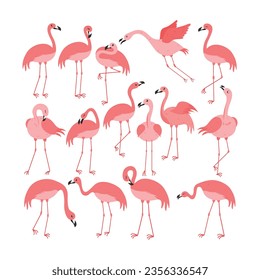 Pink flamingo vector illustration isolated on white background.