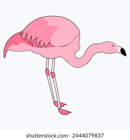 Pink flamingo vector illustration isolated on white background.