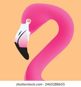 Pink flamingo vector illustration isolated on background.