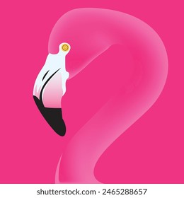 Pink flamingo vector illustration isolated on background.