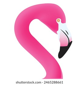 Pink flamingo vector illustration isolated on background.