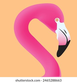 Pink flamingo vector illustration isolated on background.