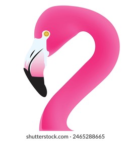 Pink flamingo vector illustration isolated on background.