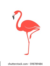 Pink flamingo. Vector illustration. Isolated flamingo on white background