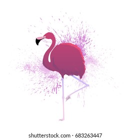 Pink flamingo. Vector illustration on background of colorful paint drops. 