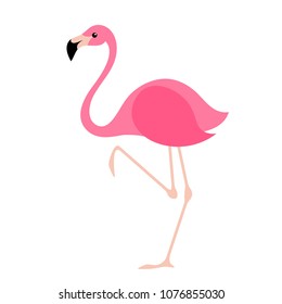 Pink flamingo vector illustration. Tropical bird. Flat style