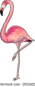 imagen vectorial de flamingo rosa aislada