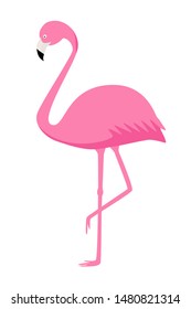 Pink Flamingo vector isolate on white background. Exotic bird.