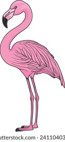
vector flamingo rosa sin fondo