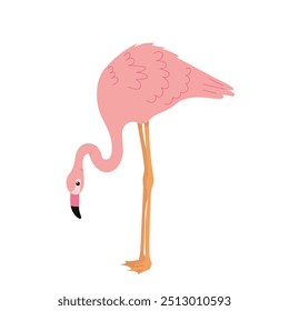 pink flamingo, vector on white background