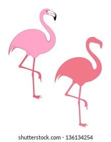 Pink flamingo vector. Tropical bird illustration.  Isolated flamingo on white background. Vintage style birds