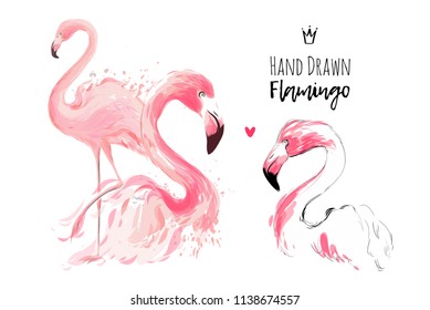 Pink Flamingo vector watercolor hand drawn illustration set on white background for fashion and greeting card design.