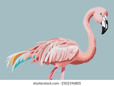 pink flamingo for wallpaper, summer vector