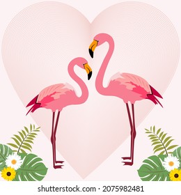 pink flamingo in water background in blue color