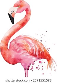 Pink Flamingo Watercolor Painting vector illustration