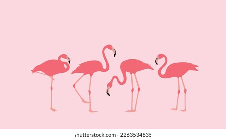 Pink flamingo. Wildlife exotic birds tropical flamingo decent vector realistic poses pictures templates isolated. set of flamingo birds. elegant flamingo birds family.