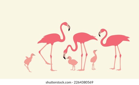 Pink flamingo. Wildlife exotic birds tropical flamingo decent vector realistic poses pictures templates isolated. set of flamingo birds. elegant flamingo birds family.