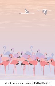Pink Flamingos