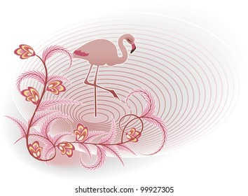 Pink flamingos in the background of calm water