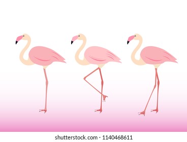 Pink flamingos  character set.