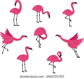 Pink flamingos collection in different poses. Exotic birds isolated on white background	