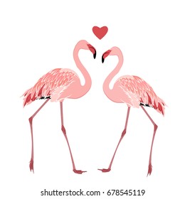 Pink flamingos couple standing beak to beak. Heart shape love feelings symbol element. Exotic tropical wading birds isolated on white background. Vector design illustration.