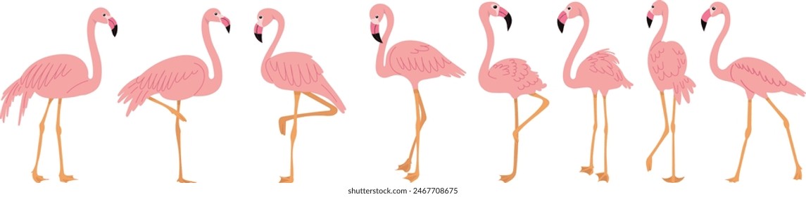 pink flamingos in flat style