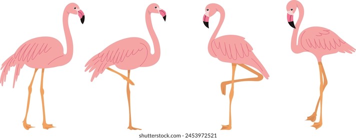 pink flamingos in flat style on white background vector