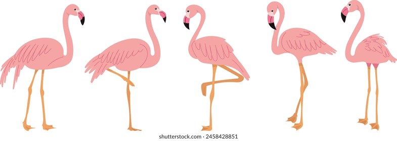 pink flamingos in flat style on white background vector