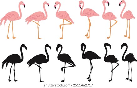 pink flamingos in flat style on white background, vector