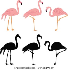 pink flamingos, in flat style vector