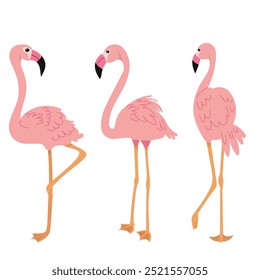 pink flamingos in flat style, vector