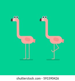 Pink flamingos flat vector illustration