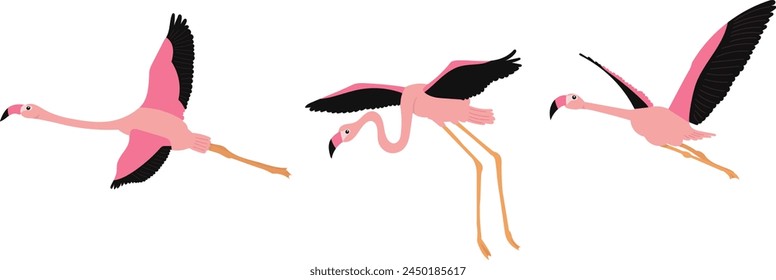 pink flamingos flying set on white background vector