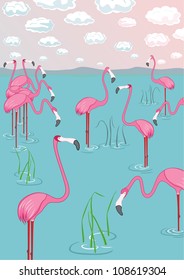 Pink flamingos on the bay. Vector illustration