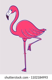 pink flamingos on one leg isolated