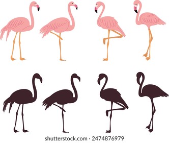 pink flamingos on white background vector