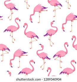Pink flamingos pattern. Cute tropical birds, seamless flamingo hawaii texture bird repeat print decor wallpaper vector background