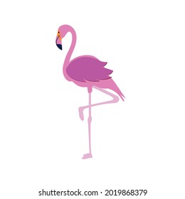 Patrón transparente de flamencos rosados.
Diseño de fondo. vector Eps